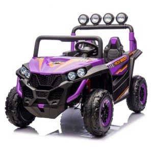 NEWEST 24V Electric 4WD UTV Buggy Kids Ride-on 4×4 Wheel Vehicle 2 Seat Off-Road Car with Remote Feature for Big Kids